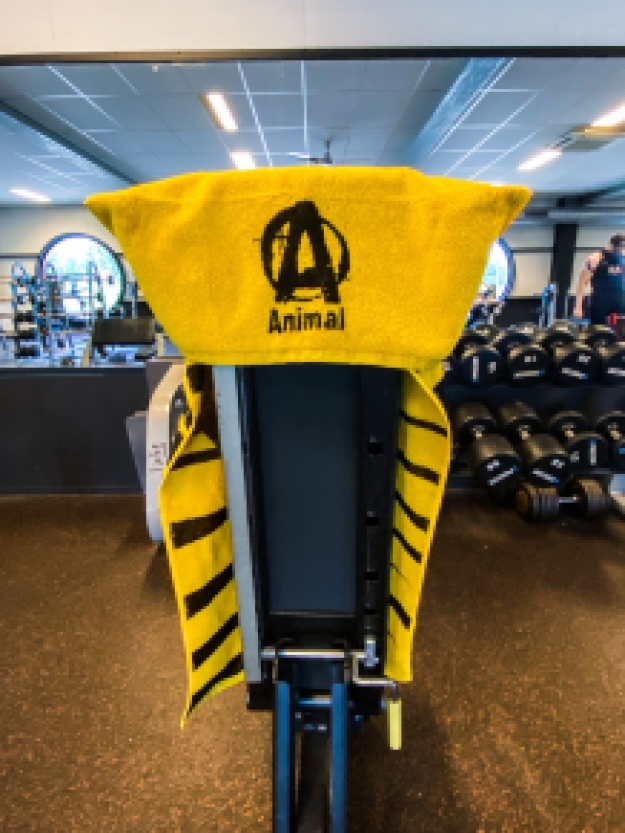 Animal Gym Towel